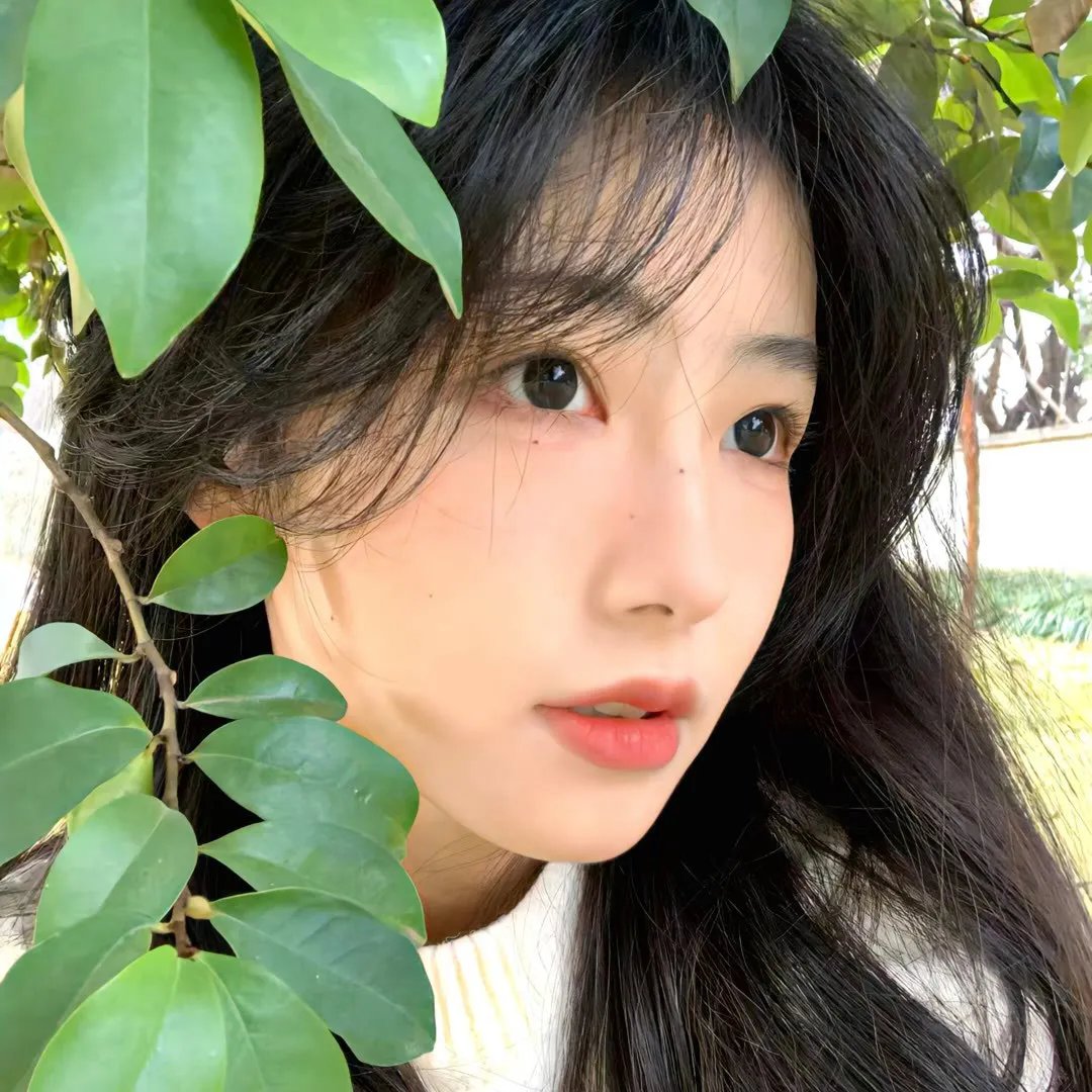 凯尔斯的秘密